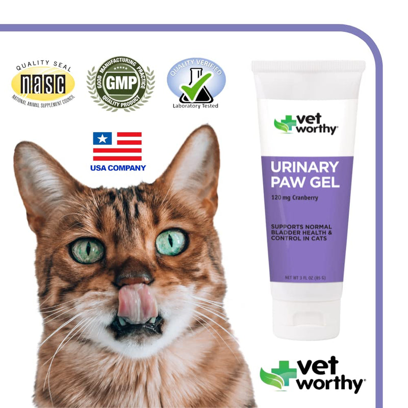 Vet Worthy Urinary Paw Gel for Cats - Cat Supplement to Support Healthy Urinary Tract and Bladder Health - Feline Supplement with Cranberry Extract, L-Lysine and Vitamin C - Salmon Flavor, 3oz - BeesActive Australia
