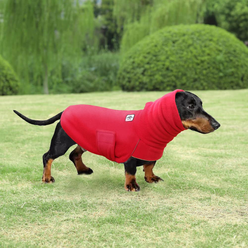 Dachshund Coats for Medium Small Large Dogs, Dachshund Cold Weather Coat, Cold Weather Dachshund Coats, Dachshund Cold Coat Red - BeesActive Australia