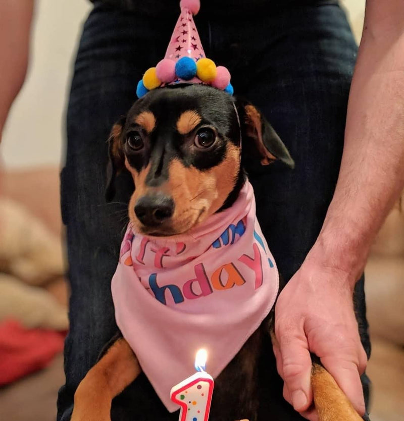 PUPTECK Dog Birthday Bandana Scarfs with Cute Doggie Birthday Party Hat Large Pink - BeesActive Australia
