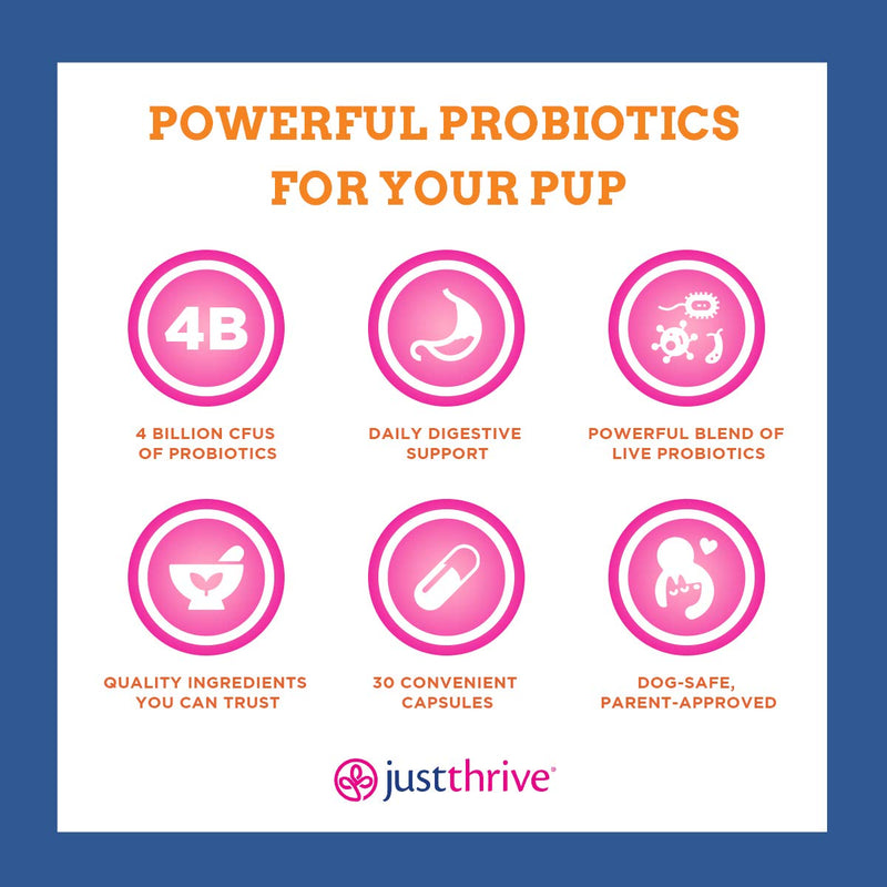 Just Thrive: Just Pets Probiotic - 30 Capsules, 8 oz - Daily Digestive Support for Dogs - Gut Health Supplement for Large and Small Breeds - No Wheat, Gluten, Soy, Dairy, Nuts or Chicken - BeesActive Australia