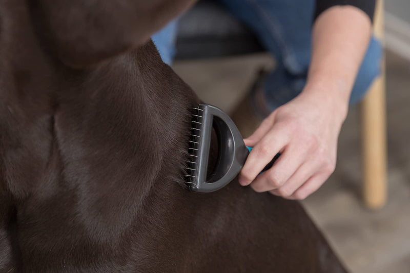 TRIXIE Universal Groomer for Coat Type 2/4/6 Small Dogs and Cats 5 x 18 cm - BeesActive Australia