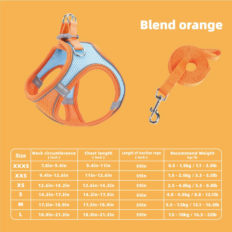 Richcatty 2.0 Generation Step in Air Dog Harness with 59“ Pet Leash for Dogs&Cats-Super Breathable Stable and Lightweight No Feeling Design More Comfortable Blend Orange M(Pet Weight12.1-16.5Lb) - BeesActive Australia