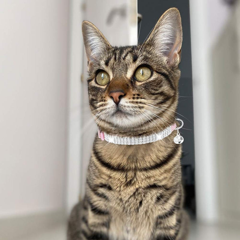 EXPAWLORER Cat Collar Breakaway with Bells - 2 Pack Rhinestones Bling Diamante Collars - Soft Velvet Safe Adjustable Shing Collar for Cats Kitty Girls and Small Dogs Pink + Purple - BeesActive Australia