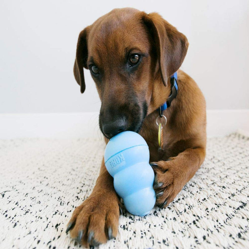 KONG - Puppy Toy Natural Teething Rubber - Fun to Chew, Chase and Fetch (Color May Vary) Medium Standard Packaging - BeesActive Australia