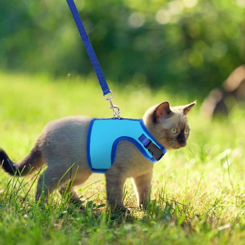 BINGPET Cat Harness with Leash Escape Proof - Fashionable Mesh Cat Dog Walking Harness Leads, Adjustable for Kitties Puppies Small Animals Blue Medium - BeesActive Australia
