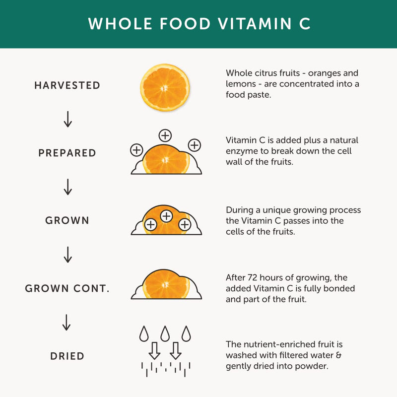Vitamin C � Together Health � with Organic Citrus Fruits � Gentle & Easily Absorbed � Includes Naturally Occurring Bioflavonoids � Vegan Friendly � Made in The UK � 30 Vegecaps 30 Count (Pack of 1) - BeesActive Australia