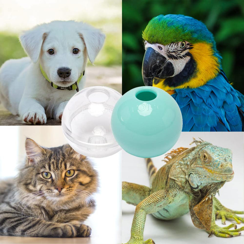 ROICO Interactive Treat-Dispensing Puzzled Dog Toy Ball, Mentally Stimulating Pet Toys, Tug of War, Sensory Stimulation, Small (Transparent) Transparent - BeesActive Australia