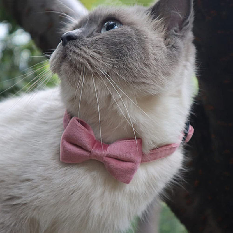 2 Pack Breakaway Cat Collars with Bell and Bowtie Comfortable Velvet Cat Collar with Cute Safety Buckle Adjustable Pet Collar for Kitty Kitten Puppy Neck Accessories for Daily Wearing Kitten One Size Brown & Pink - BeesActive Australia