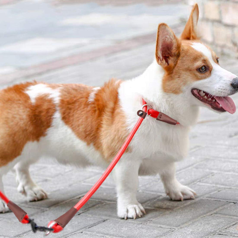 MayPaw Slip Lead Dog Collar + 12 Inch Short Dog Leash Blue - BeesActive Australia