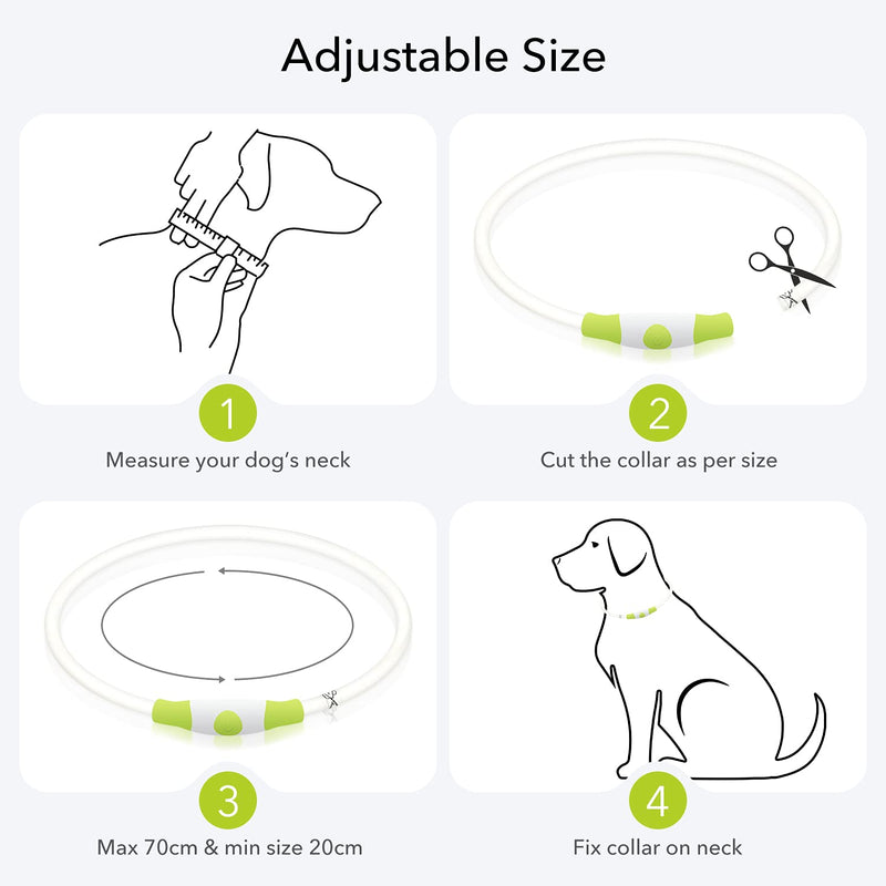 Colaseeme LED Dog Collar Light Up Dog Collars 1 Count USB Rechargeable TPU Glow Safety Basic Dog Collars for Large Medium Small Dogs Green - BeesActive Australia