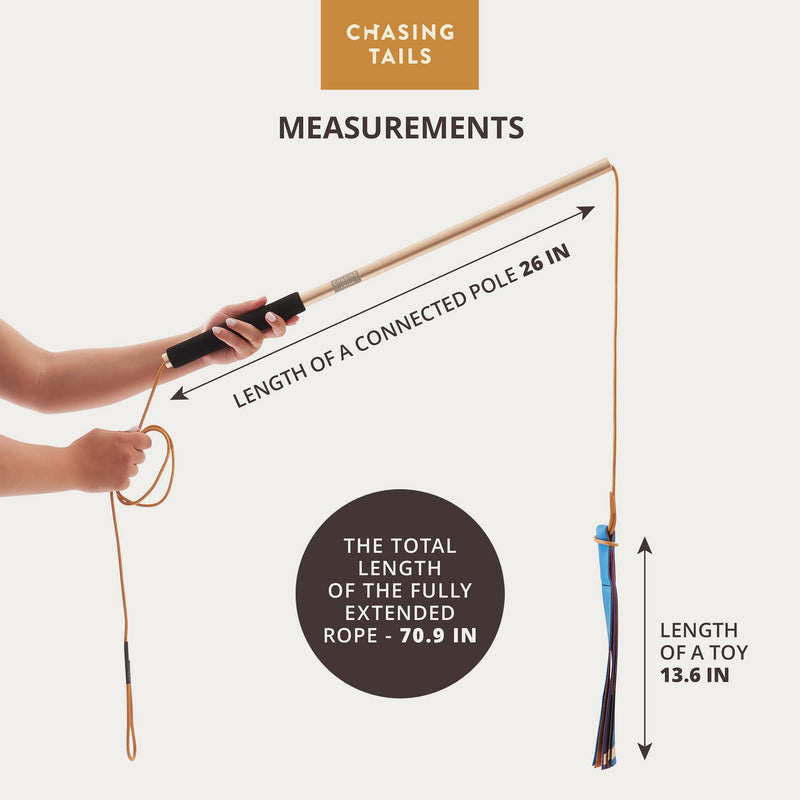 Chasing Tails Flirt Pole For Dogs Large Breed Heavy Duty - Dog Flirt Pole Teaser, Dog Exercise Equipment, Spring Pole for Dogs, Dog Training Toys Dog Flirt Pole for Large Dogs Chase Stick Catcher Pole - BeesActive Australia
