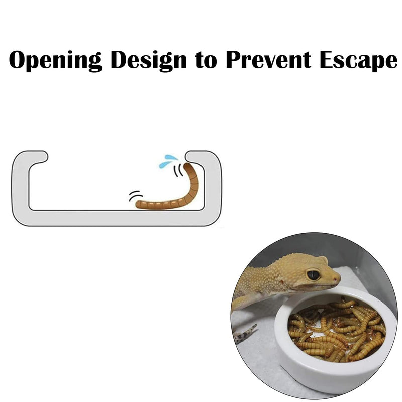 iHomeSet 3 Pcs Reptile Food Bowl with Feeding Tongs, Ceramic Water Feeder Bowl for Lizard Anoles Bearded Dragons Crested Gecko Hermit Crabs Triangular, White, 2.7 inch - BeesActive Australia