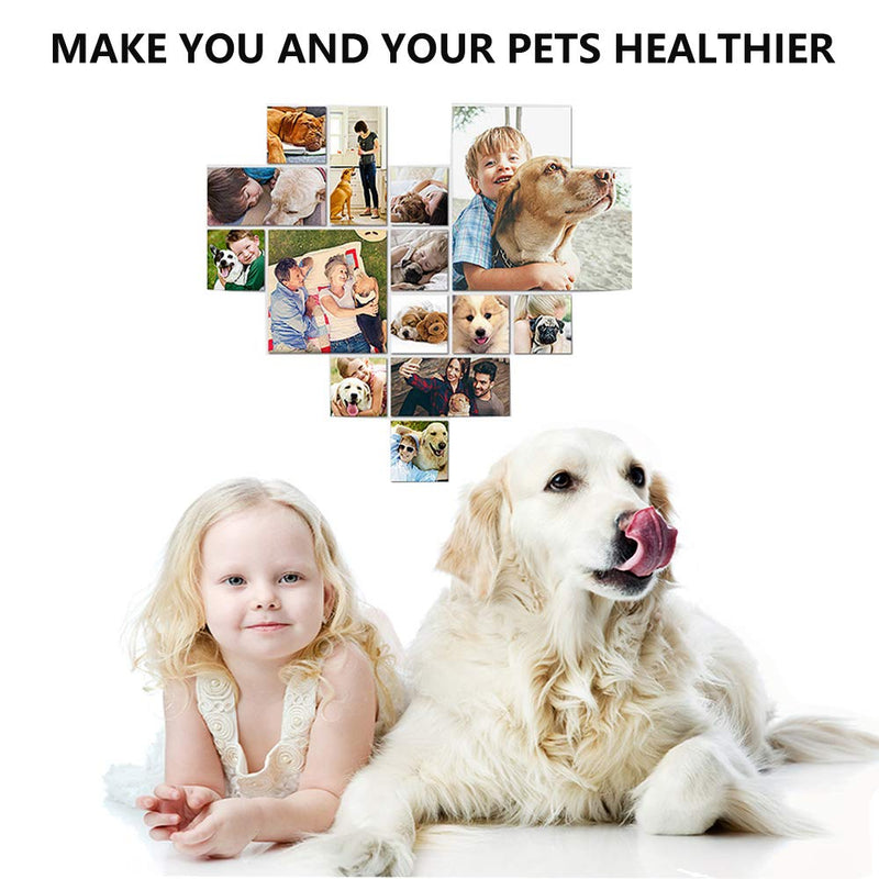 Puppycute 2 Pack Pet Toothbrush and Toothpaste for Dogs & Cats, Best Soft Silicone Pet Finger Toothbrush for Small Dogs Puppy Doggy, Dog Toothpaste Beef Flavor - BeesActive Australia
