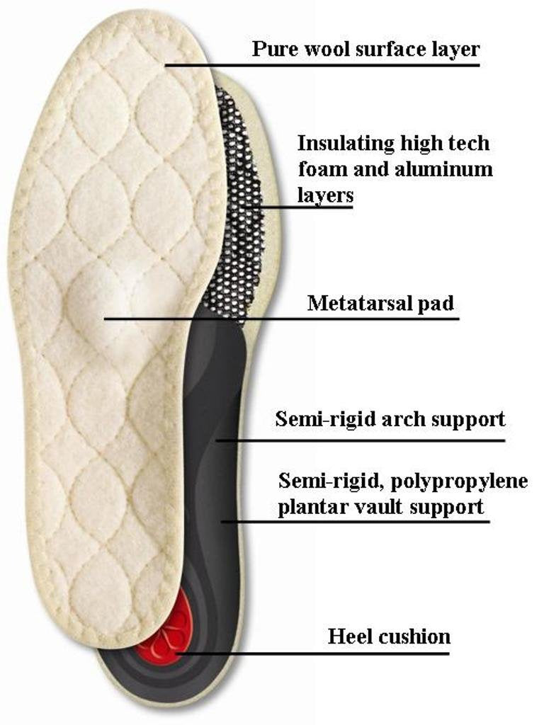 Pedag Viva Winter | Insulating Insoles | Made in Germany | Heel Cushion, Longitudinal & Metatarsal Arch Support | Boost Warmth & Comfort | 1 Pair | Women US 12/ Men 9/ EU 42 US W12/M9/EU 42 - BeesActive Australia