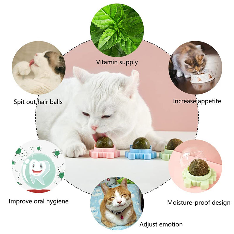 Kayina Catnip Wall Ball, 3-Piece Cat Toys, Edible Cat Licking Toy, Cat Chew Toy, Teeth Cleaning Cat Bite Toy, Rotatable Indoor Cat Toy, Cat Wall Decoration Crab - BeesActive Australia