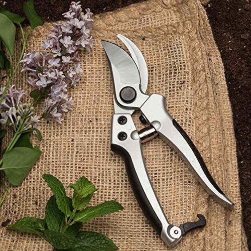 Kings County Tools 8" Steel Bypass Pruner | Spring-Loaded Snap Catch | Cast Aluminum with Rubber Surface Grips | Works Best with Green Branches and Material - BeesActive Australia
