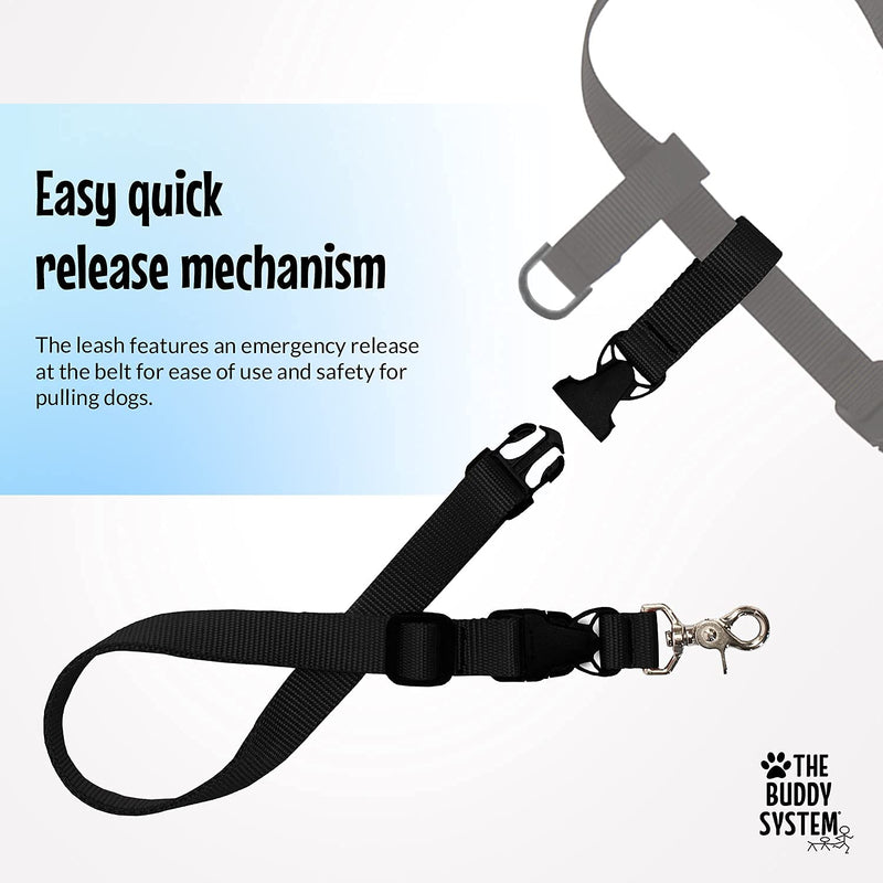 The Buddy System Hands Free Dog Leash and The Extra Buddy Pet Leash, Bundle Adjustable Dog Leash for Walking, Running, Training, Exercise with Your Dog-Made in The USA - BeesActive Australia
