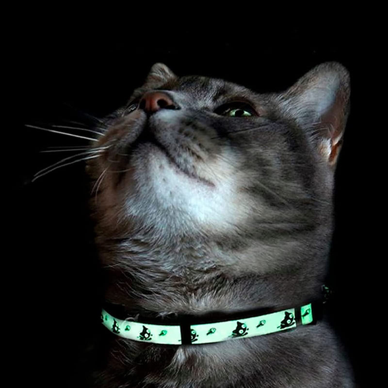 Pawtitas Glow in The Dark Cat Collar with Safety Buckle and Removable Bell Cat Collar Kitten Collar Cat Collar Purple - BeesActive Australia