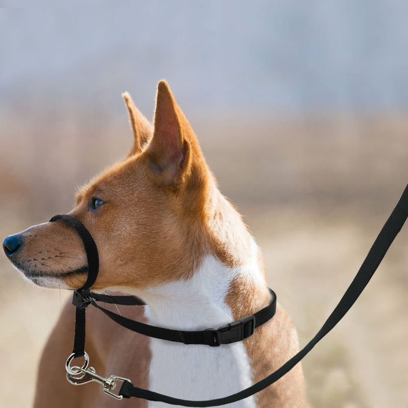 Dog Head Collar, Adjustable and Padded, No-Pull Training Tool for Dogs on Walks, Includes 1 Dog Leash and Free Training Guide, 3 S Black - BeesActive Australia