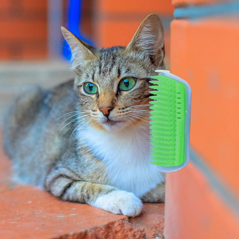 Hub's Gadget 2 Pack Cat Self Groomer, Wall Corner Massage Comb Grooming Brush with Catnip Pouch, Pink - BeesActive Australia