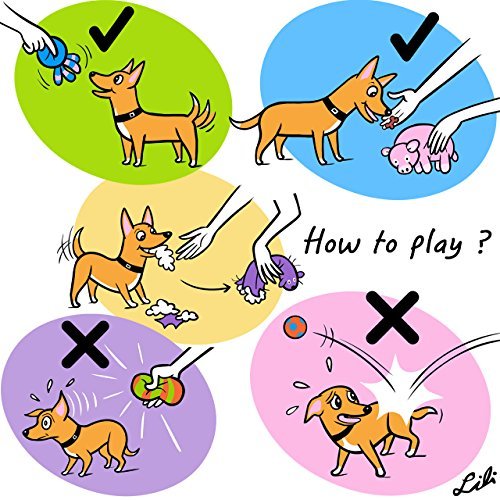 CHIWAVA 4 Pack 2.8'' Latex Squeaky Dog Toy Smiley Face Balls Interactive Fetch Play for Small Medium Dogs Assorted Round Balls 3PCS - BeesActive Australia
