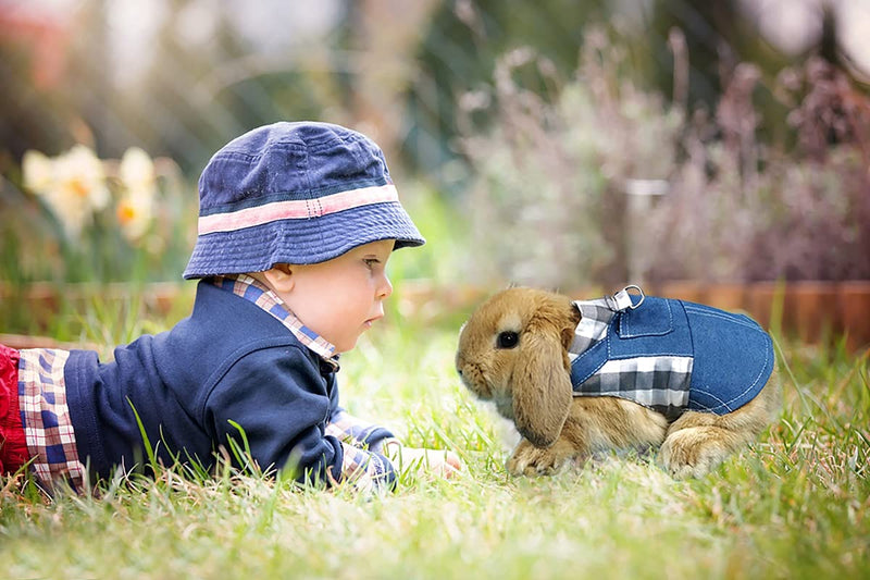 Vehomy Rabbit Harness and Leash Small Animal Clothes for Rabbit Guinea Pig, Bunny Plaid Harness Leash Guinea Pig Blue Denim Black and White Plaid Dress for Kitten Chihuahua and Other Small Animals Medium - BeesActive Australia