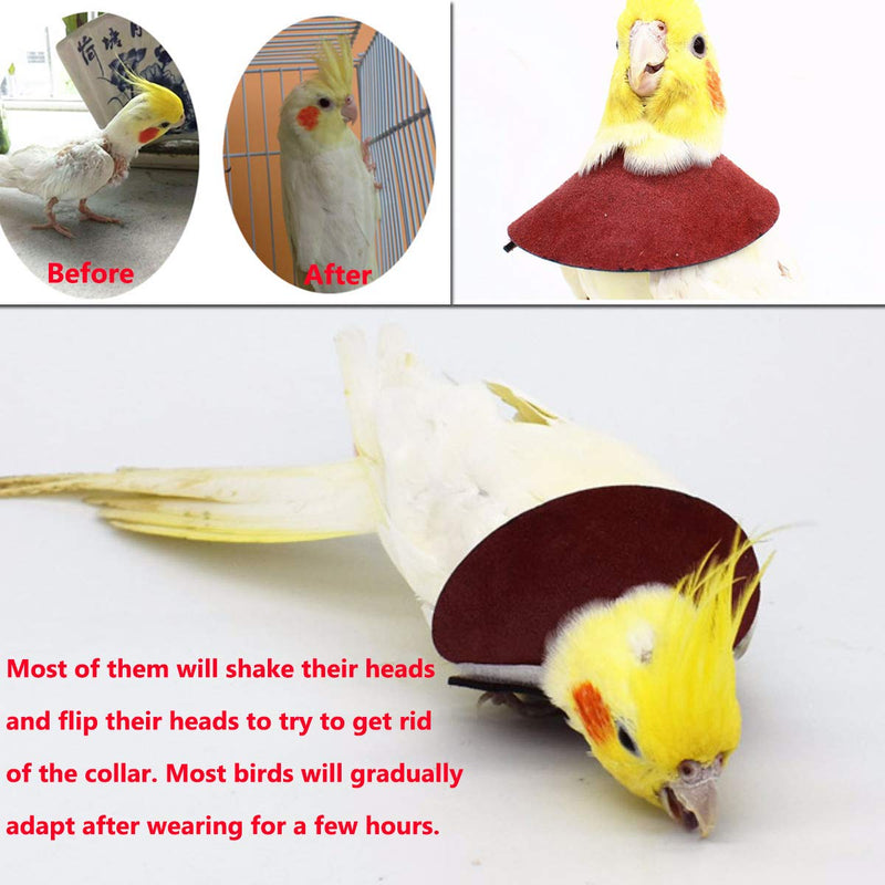 4Pack Pet Parrot Anti-bite Elizabethan Collars, Anti-Grab Feather Plucking Wound Healing Safety Collar, Protective Recovery Cones for Budgerigar Lovebird Agapornis Fischer Cockatiel Cockatoo M - Suitable for Lovebird - BeesActive Australia