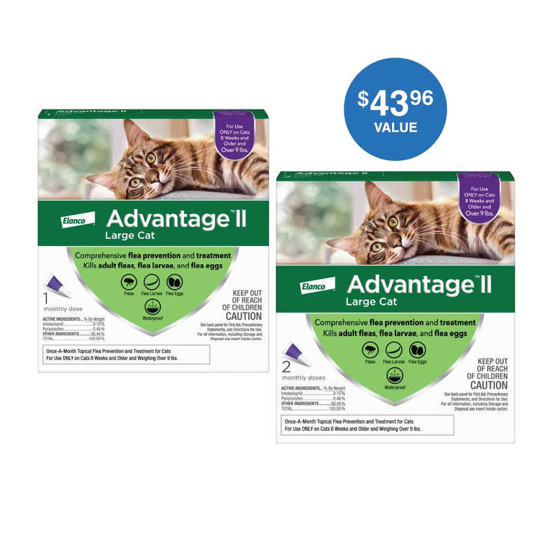 Advantage II Flea Prevention and Treatment for Large Cats (Over 9 Pounds), 3-Pack - BeesActive Australia