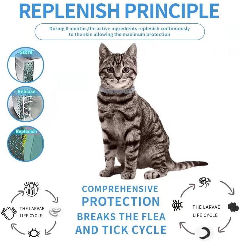 Advanllent Flea Collar for Cats, Flea and Tick Collars for Cats and Kittens, 8 Month Protection, Gray - BeesActive Australia
