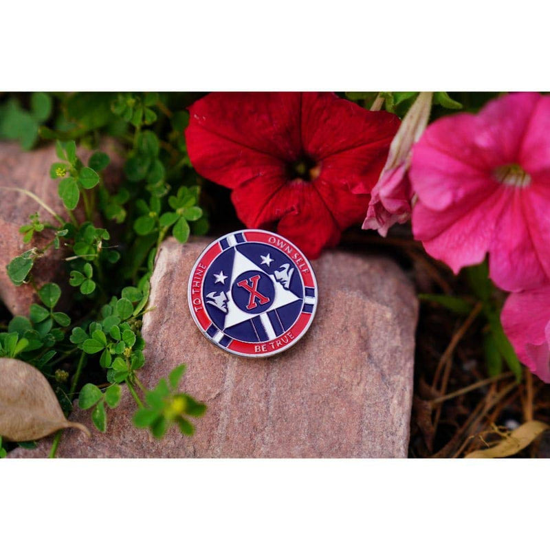[AUSTRALIA] - MyRecoveryStore Red and Blue Patriotic Yearly AA Medallion Large Sized w/Coin Capsule Red and Blue Alcoholics Anonymous AA Chip 1-50 Years Year 33 