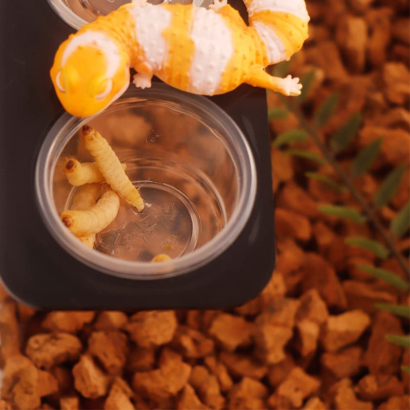FinYii 100 Count Crested Gecko Food Cups, Reptile Leopard Gecko Feeding Ledge Replacement Cups - 0.5oz - BeesActive Australia