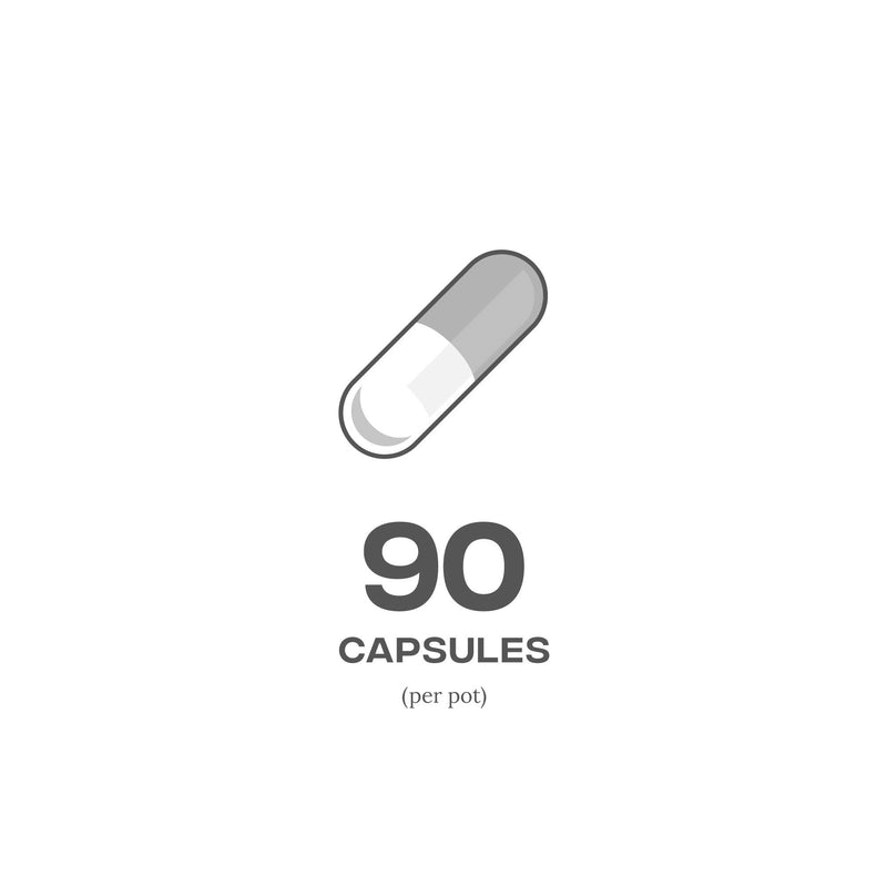 Reflex Nutrition Creapure Creatine Capsules Supplement (90 Caps) - BeesActive Australia