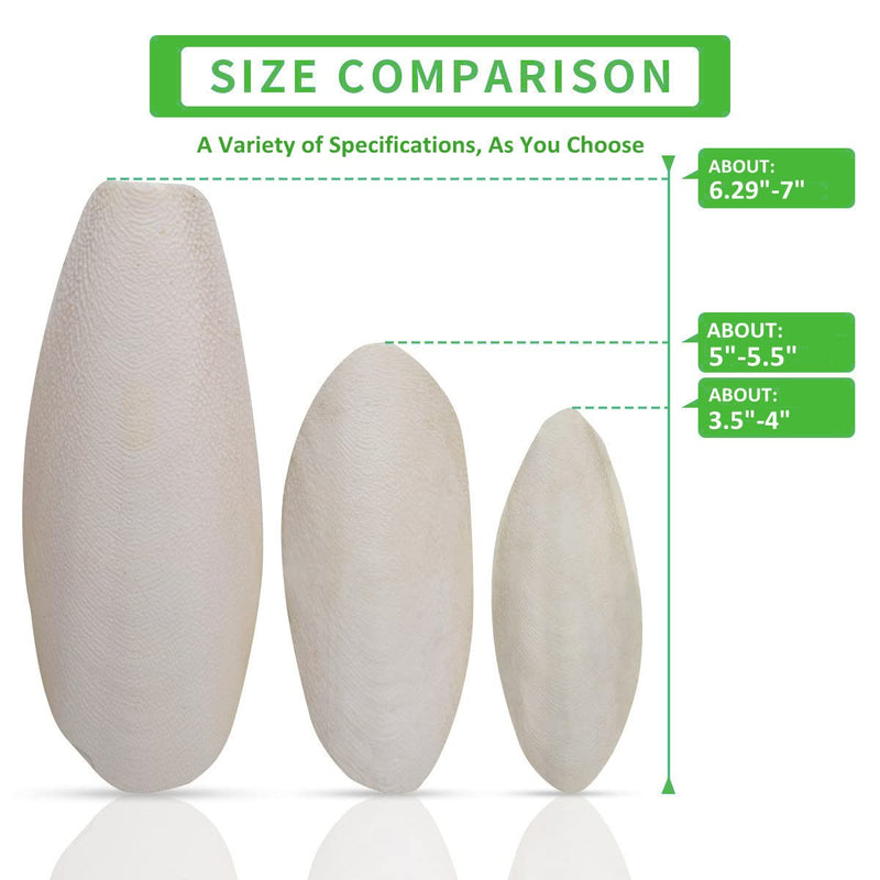 Jmxu's 5"-5.5" Bird Cuttlebone for Parakeets, Cuddle Bone with Metal Holder, Chewing Cuttlefish Bone for Sharp Beaks, Natural Birds Calcium Suitable for Parrots Cockatiels Budgie 6 pack-5"-5.5" each - BeesActive Australia