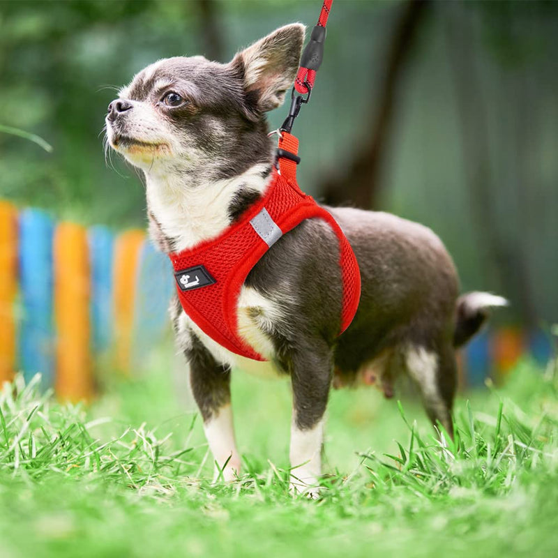 Small Dog Harness and Leash Set, 2 Pack No Pull Dog Harness with Handle, Breathable Soft Mesh Puppy Harness with Reflective Strap, Dog Vest Harness for Small Dogs, Cats, and Puppy XS: 11.5"-13.5" Grey & Red - BeesActive Australia
