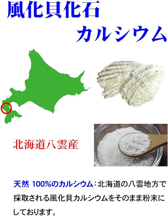 Hokkaido's Yakumo Weathered Shellfish Powder "Ancient Calcium" 240g Extended Edition 1 bag 80 days supply (about 3g per day) Somatid Shellfish Fossil Food for Calcium Supplement Weathered Shellfish Calcium 100% Domestic Production - BeesActive Australia