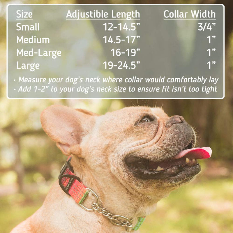 Leashboss Chain Martingale Patterned Reflective Dog Collar, Pattern Collection, Stainless Steel Chain, No Pull Training Collar Medium-Large (16-19" Neck x 1" Wide) Orange - Blanket - BeesActive Australia