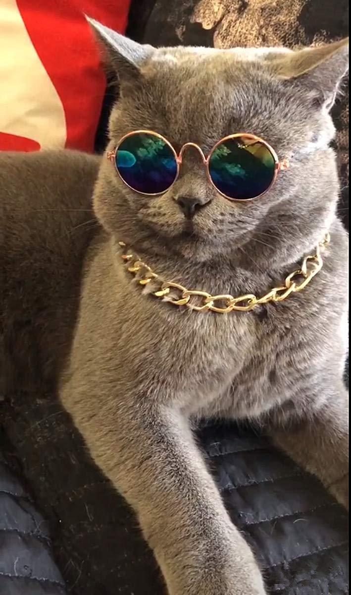 Dplus Cool Stylish and Funny Cute Pet Sunglasses Pet Goggles - Glasses Set of 5 - Classic Retro Circular Metal Prince Sunglasses for Cat,Chihuahua or Small Dogs (Classic Retro) - BeesActive Australia