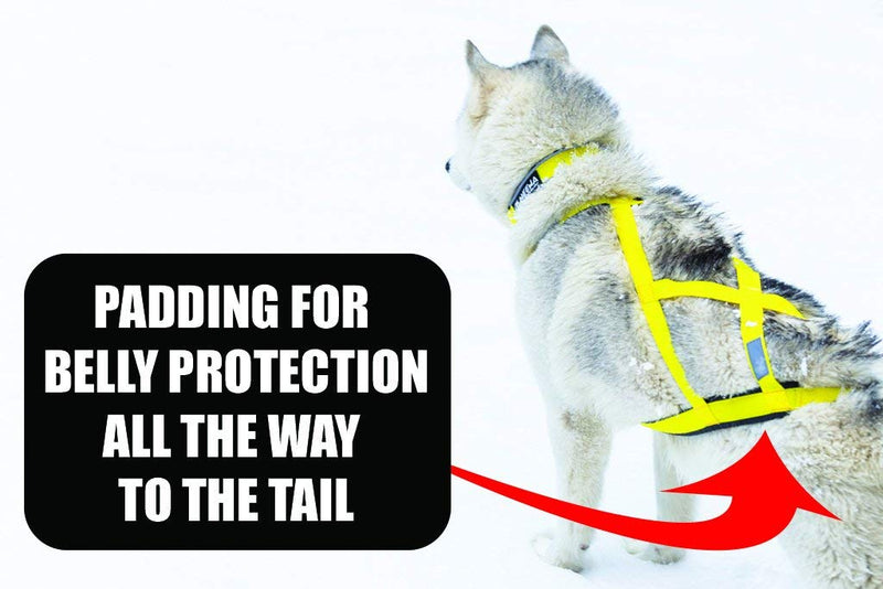 Neewa Sled Pro Harness, Dog Pulling Harness, Husky Harness, Mushing Harness, X Back Harness Dog for Dog Exercise, Bikejoring, Skijoring, Dog Sledding, Canicross, Dog Harness Large Blue - BeesActive Australia
