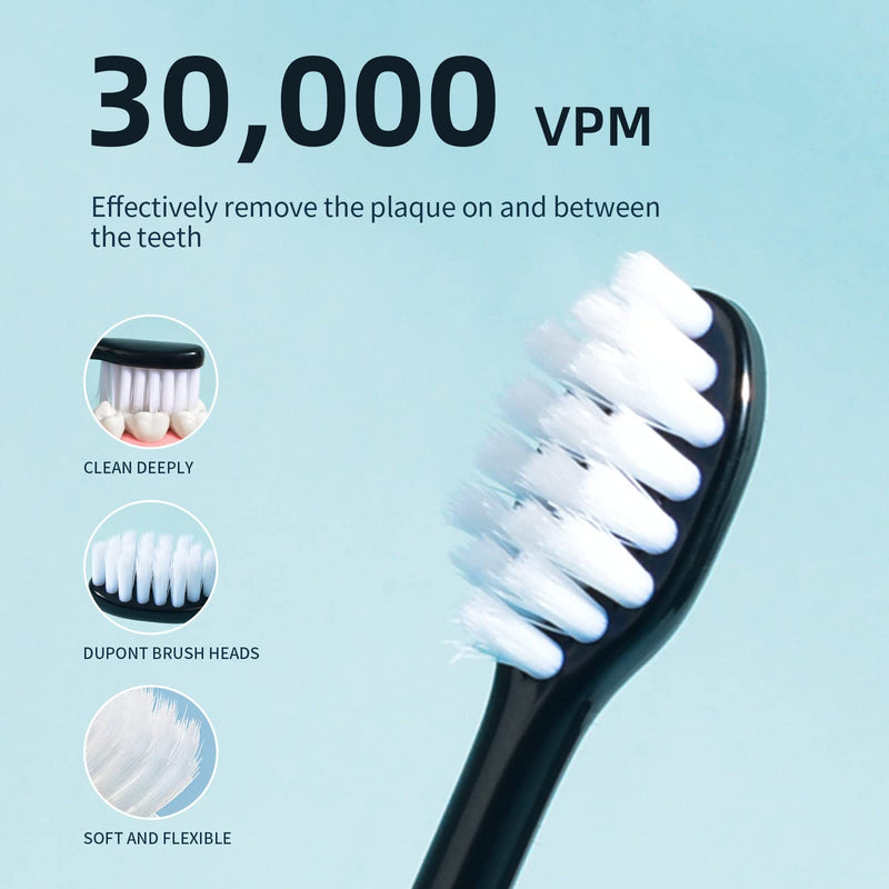 Sonic Electric Toothbrush, Rechargeable Power Toothbrush with 6 Duponts Brush Heads, with 2 Minute Smart Timer, 5 Modes with Teeth Whitening, Gift for Family Black - BeesActive Australia