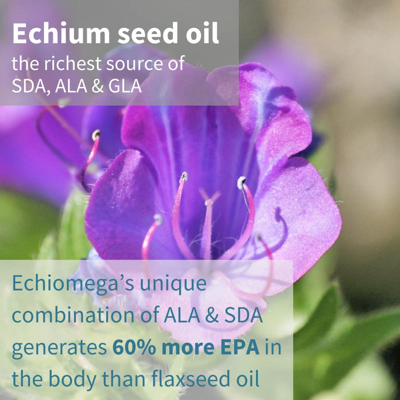 Echiomega Vegan Omega 3-6-9, Plant Based Echium Seed Oil, Ideal 2:1 ratio Omega-3 to Omega-6 GLA, Women’s Health, 60 Small Softgels, by Igennus - BeesActive Australia