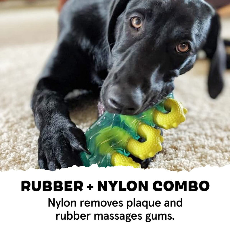 BarkBox Tough Dog Toys & Chews for Aggressive Chewers, Durable Rubber & Nylon Super Chewer Treat Dispensing, Balls, & Teething Toys for Small, Medium, & Large Dogs and Puppies Medium/Large Dog Dog Ness Monster - BeesActive Australia
