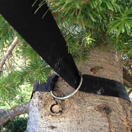 TrailMax Horse Highline Tree Saver Straps, Sold as a Pair, Prevents Tree Girdling When Securing Your Horses or Mules on a Highline Rope, Leave No Trace, NFS NPS BLM USFS DOI Approved Black - BeesActive Australia