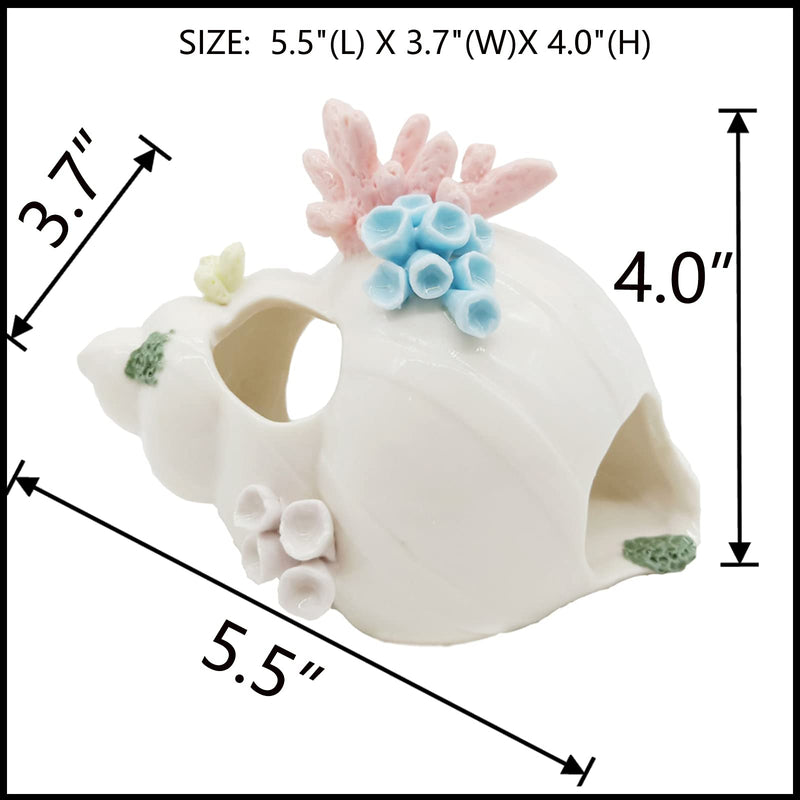 Starryfill Aquarium Decorations White Ceramic Conch Thematic Ornament with Three Holes for Betta Fish Passing or Hiding Safely,Betta Fish Tank for Small and Medium Fish - BeesActive Australia