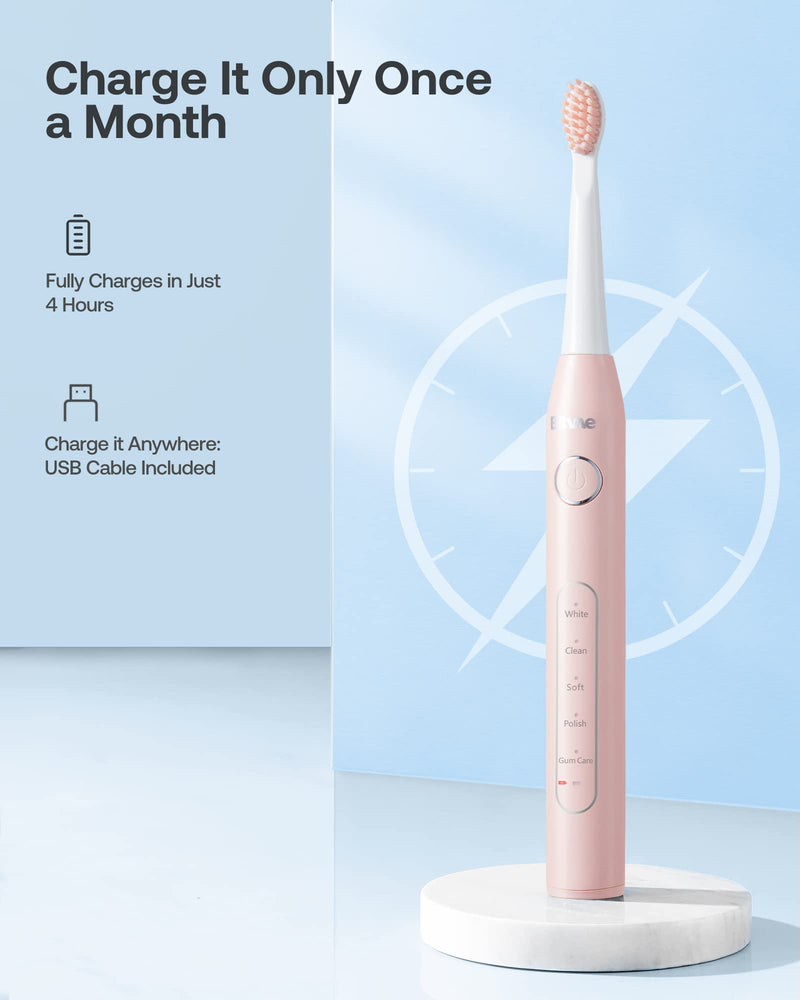 Bitvae Electric Toothbrushes 2 Pack Sonic Toothbrush with Holders, Dual Ultrasonic Electronic Toothbrush 8 Brush Heads 5 Modes, Rechargeable Power Toothbrush for 30 Days Using, Black & Pink - BeesActive Australia
