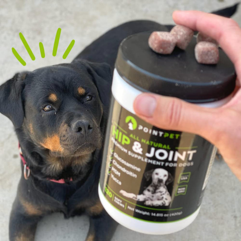 POINTPET Glucosamine for Dogs - Hip and Joint Supplement - Dog Mobility Soft Chews with Chondroitin & MSM, Arthritis Support for Hips and Joints with Omega 3 120 Soft Chews - BeesActive Australia
