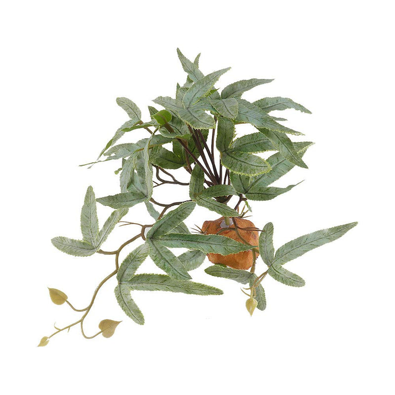 YOGURTCK Reptile Artificial Plants, Amphibian Habitat Hideout, Terrarium Decorations - Pteridium B-pteridium - BeesActive Australia