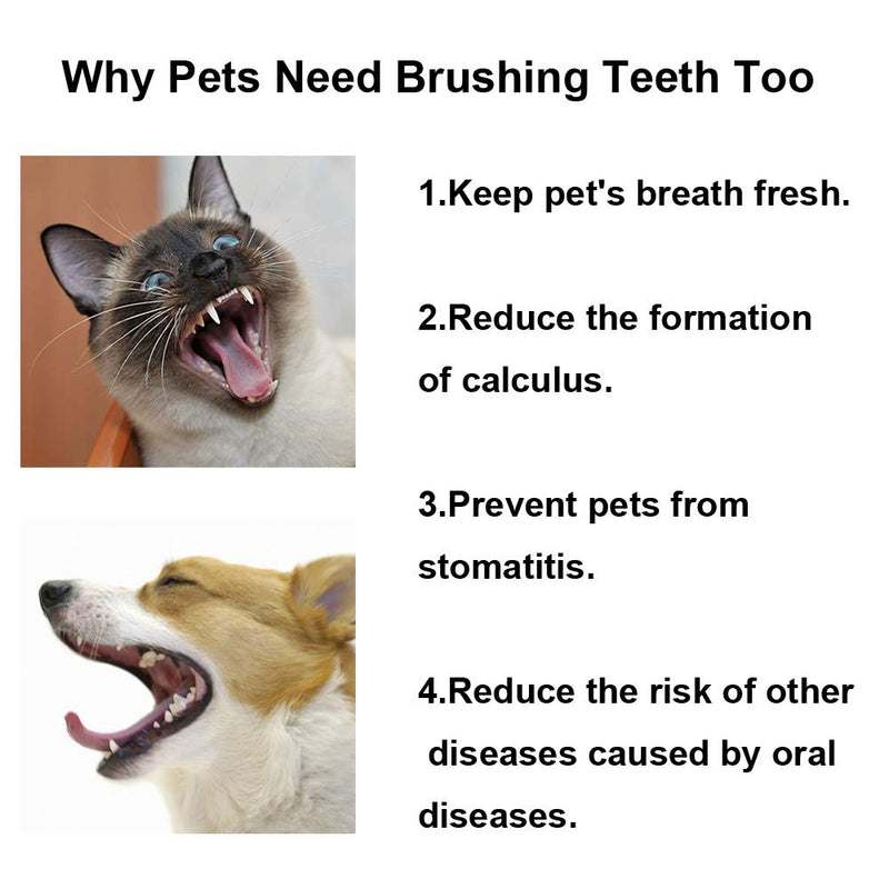 KnocKconK Cat Toothbrush with Mini Soft Head, Pet Teeth Deep Clean Dense Brush, Safe and Effective Oral Care, Small Dog Tooth Brush Away Bad Breath(Pink, Blue) Pink+blue+yellow - BeesActive Australia