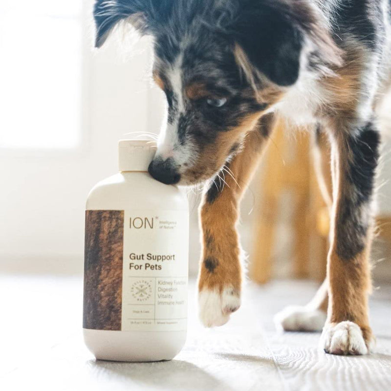 ION* Intelligence of Nature Gut Support for Pets | Strengthens Digestion, Supports Kidneys, Aids Immune Function, and Defends from Food Toxins 16 Ounce - BeesActive Australia