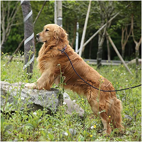SEPXUFORE Rope Slip Lead Dog Leash, Heavy Duty 1/2” by 5ft Solid Colors 7+ Climbing Nylon Round Dog Training Leash, No Pull Dog Lead Great for Medium and Large 1/2" x 5ft black - BeesActive Australia