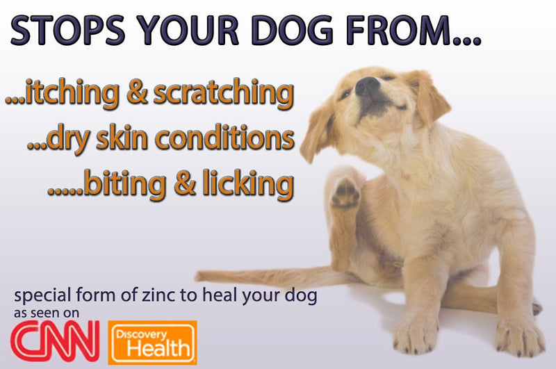 #1 Rated and Best Digestive Enzymes for Dogs! SkinPlex Plus is Guaranteed to help end Dog Skin Allergies, Dog Skin Problems, Itchy Dogs! Top Rated Dog Dry Skin Remedy! Safe All Natural Made in USA! - BeesActive Australia